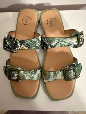 Snake-Print Double Buckle Slide Sandals in Green NWT and box